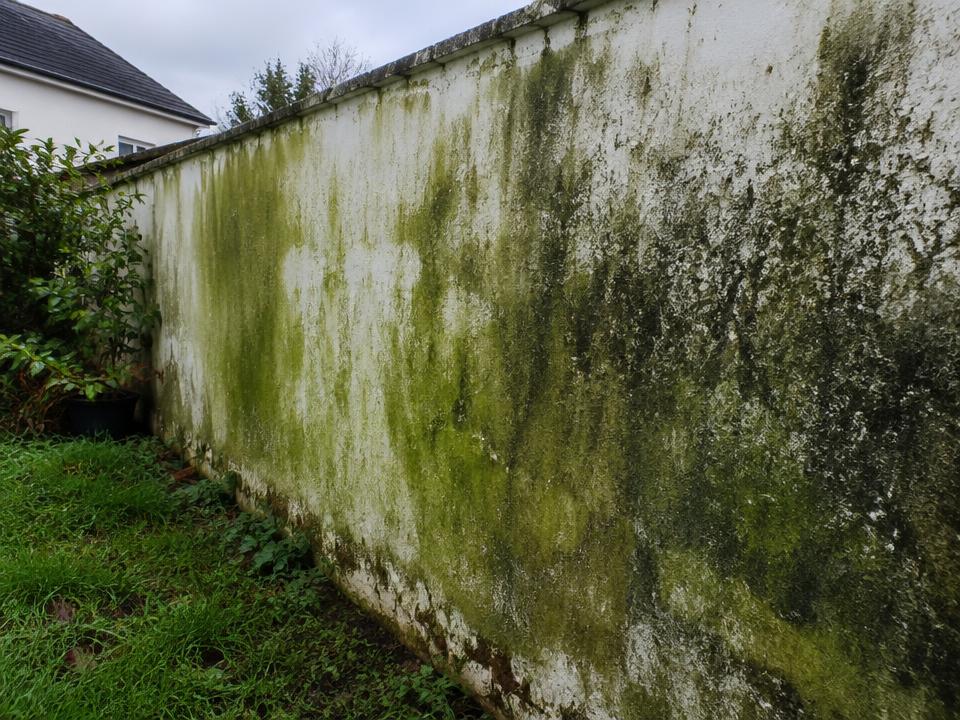 Boundary wall restoration, before cleaning